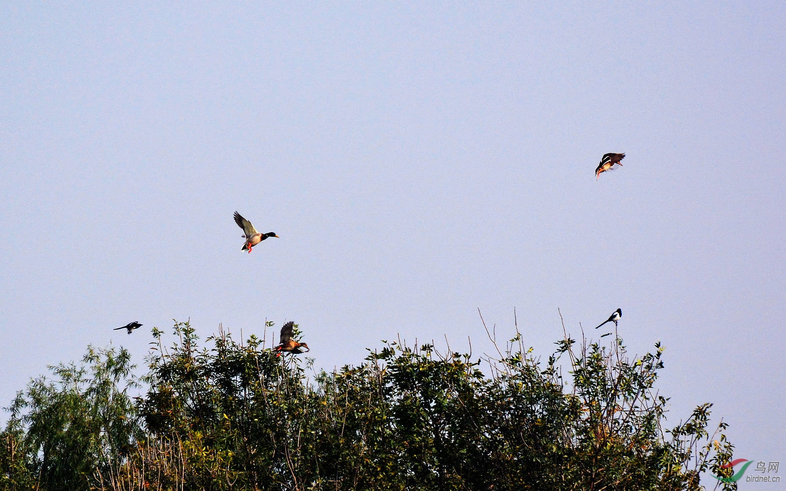 DSC_2641.JPG