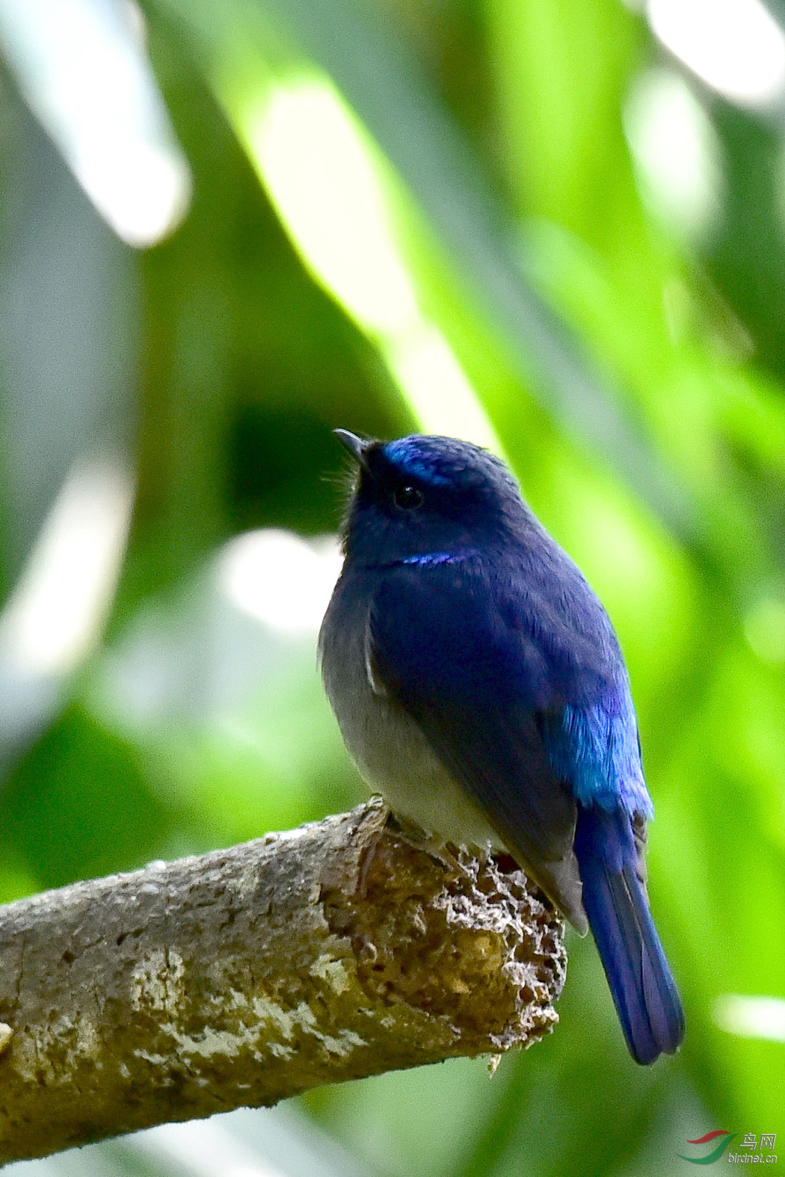 DSC_0546.JPG