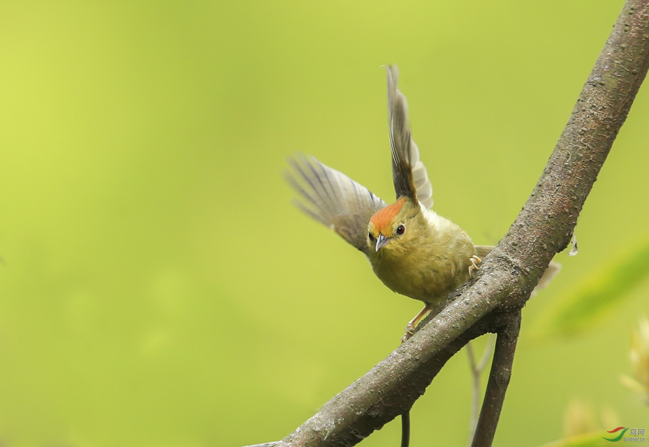 BH7W1635-1-- (1).jpg