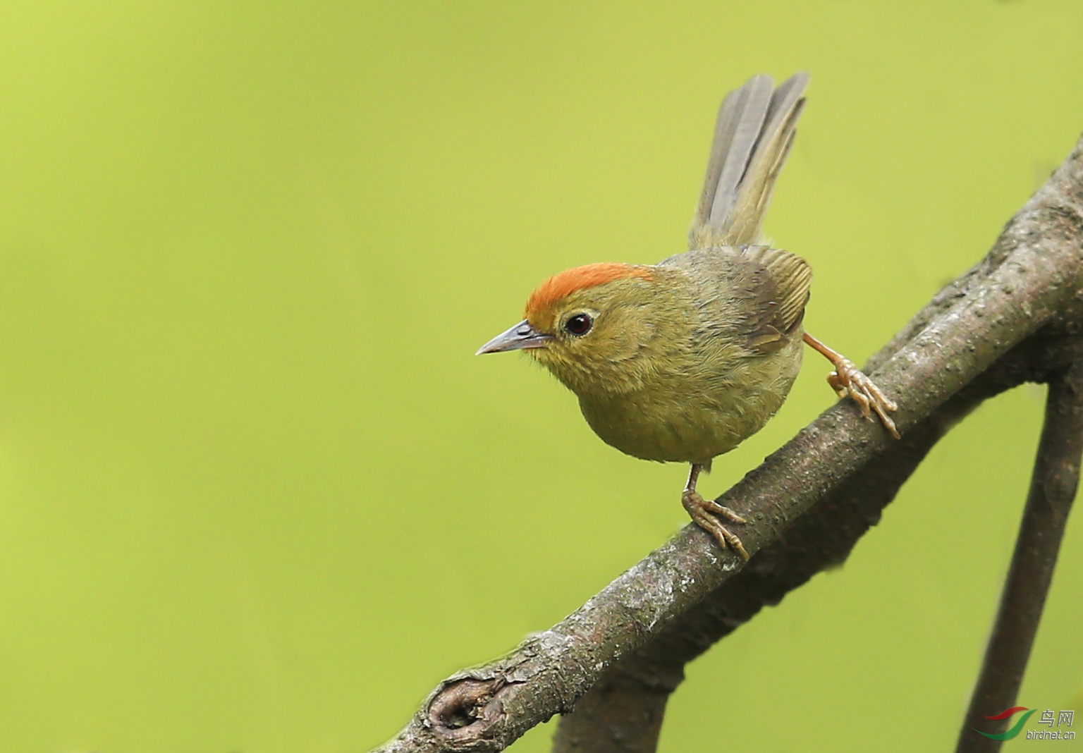 BH7W1635-1-- (5).jpg