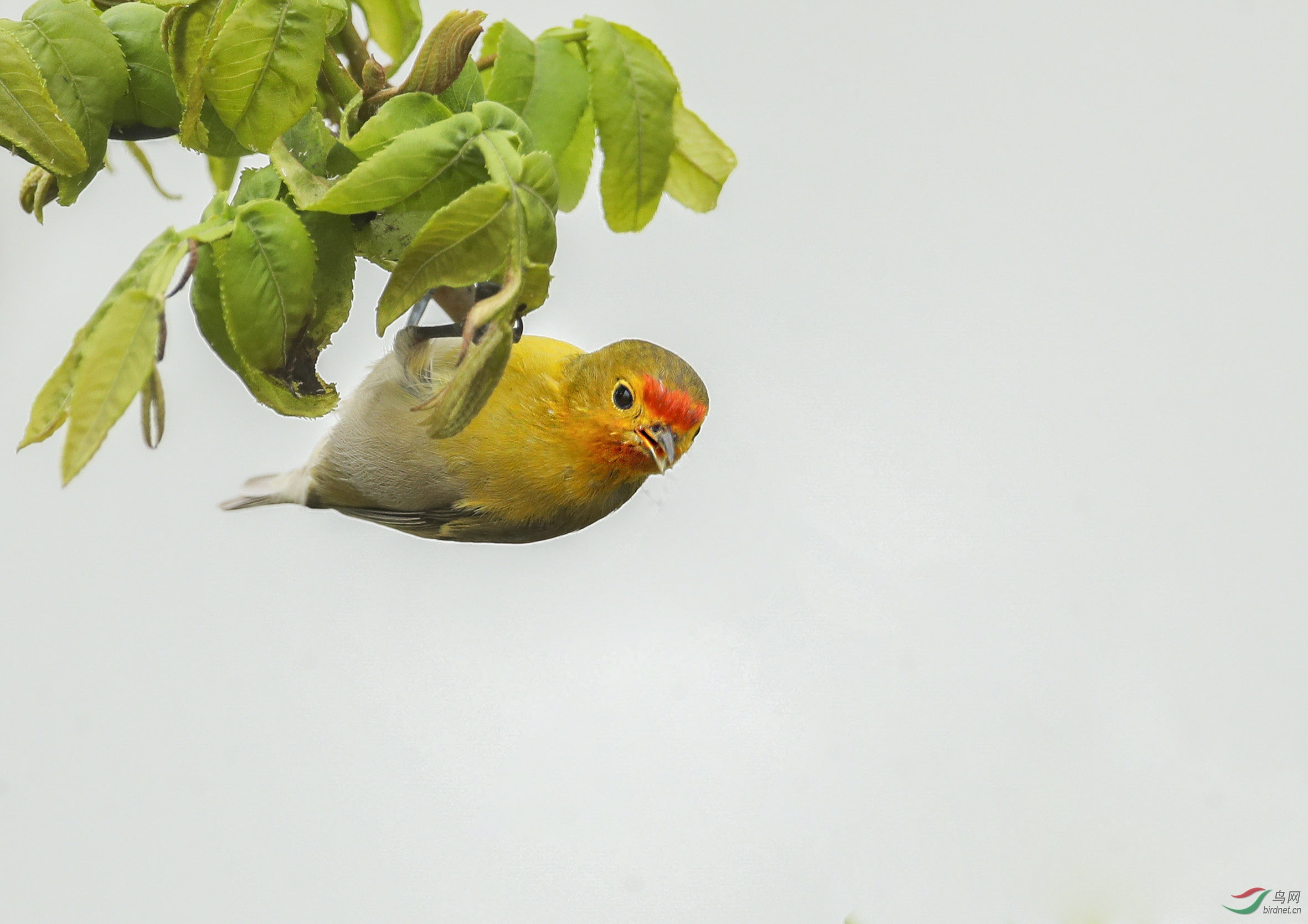 BT1I0487-1--1-1 (1)-1.jpg