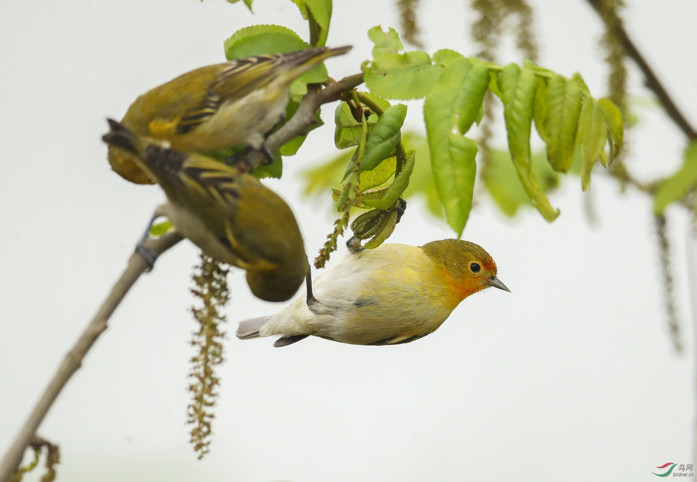 BT1I0487-1--1-1 (5).jpg