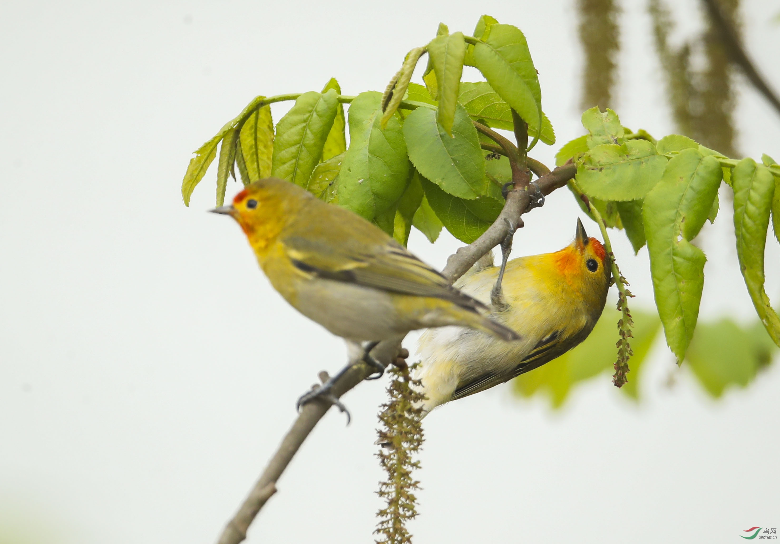 BT1I0487-1--1-1 (6).jpg