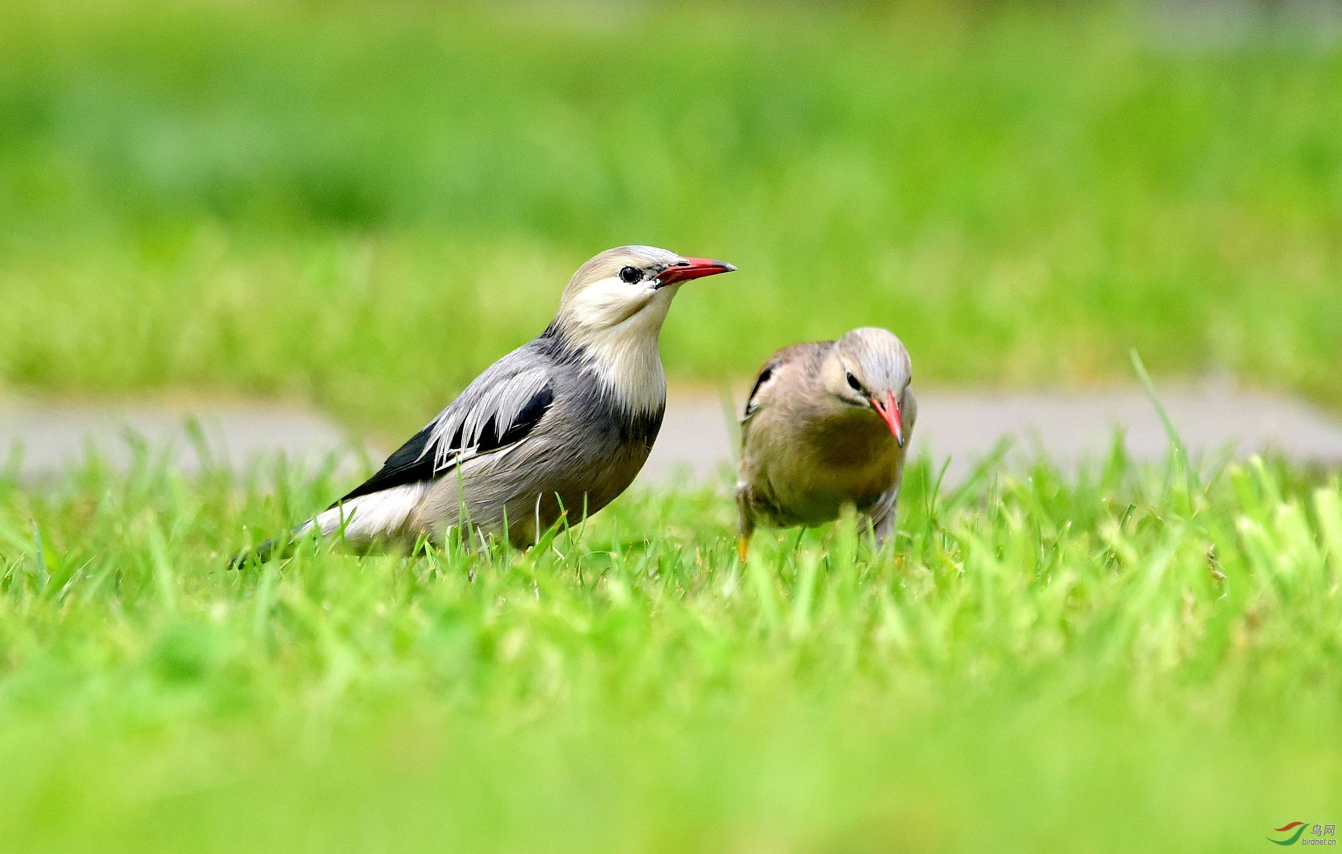 DSC_4574_conew2.jpg