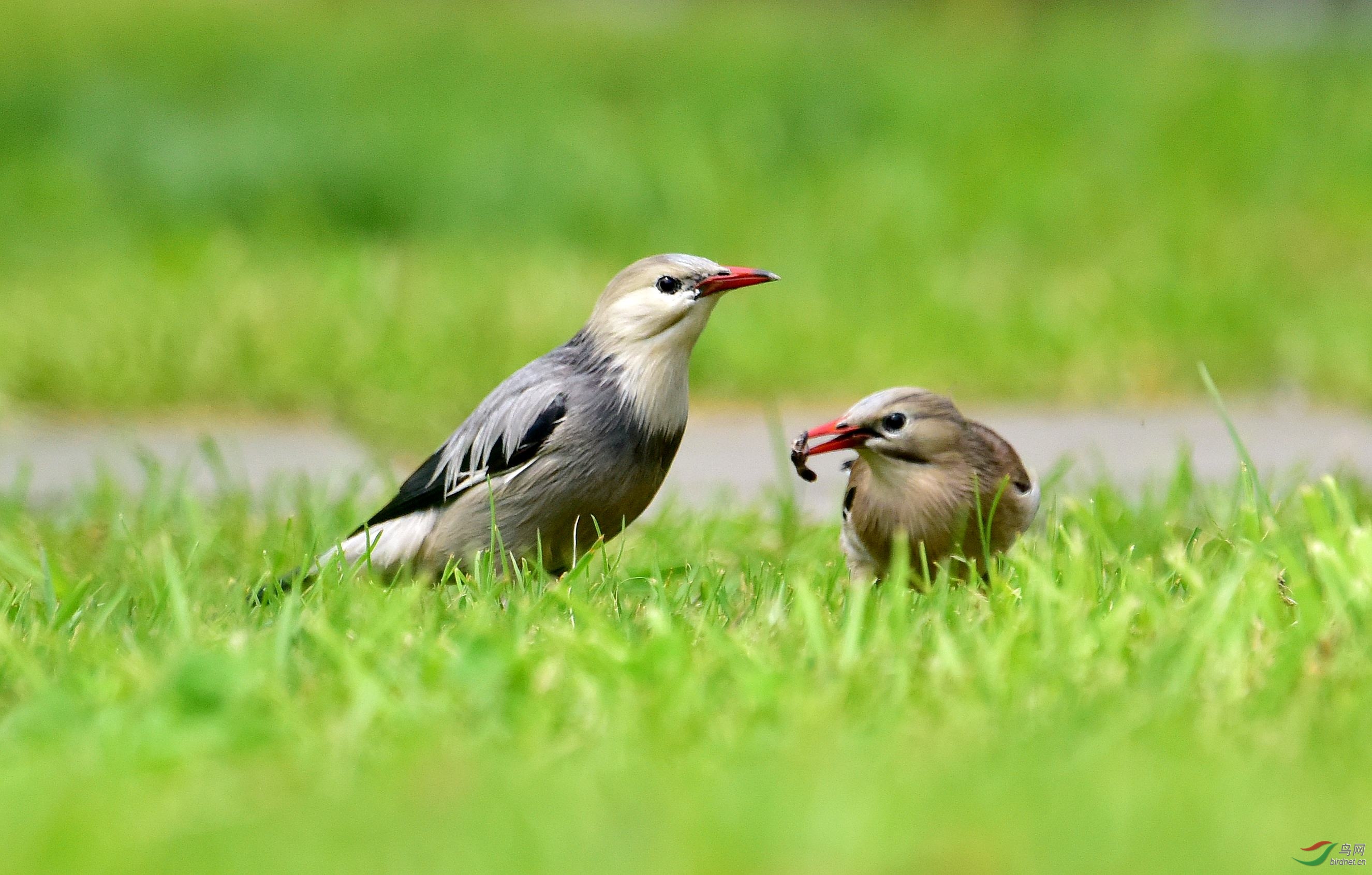 DSC_4575_conew2.jpg