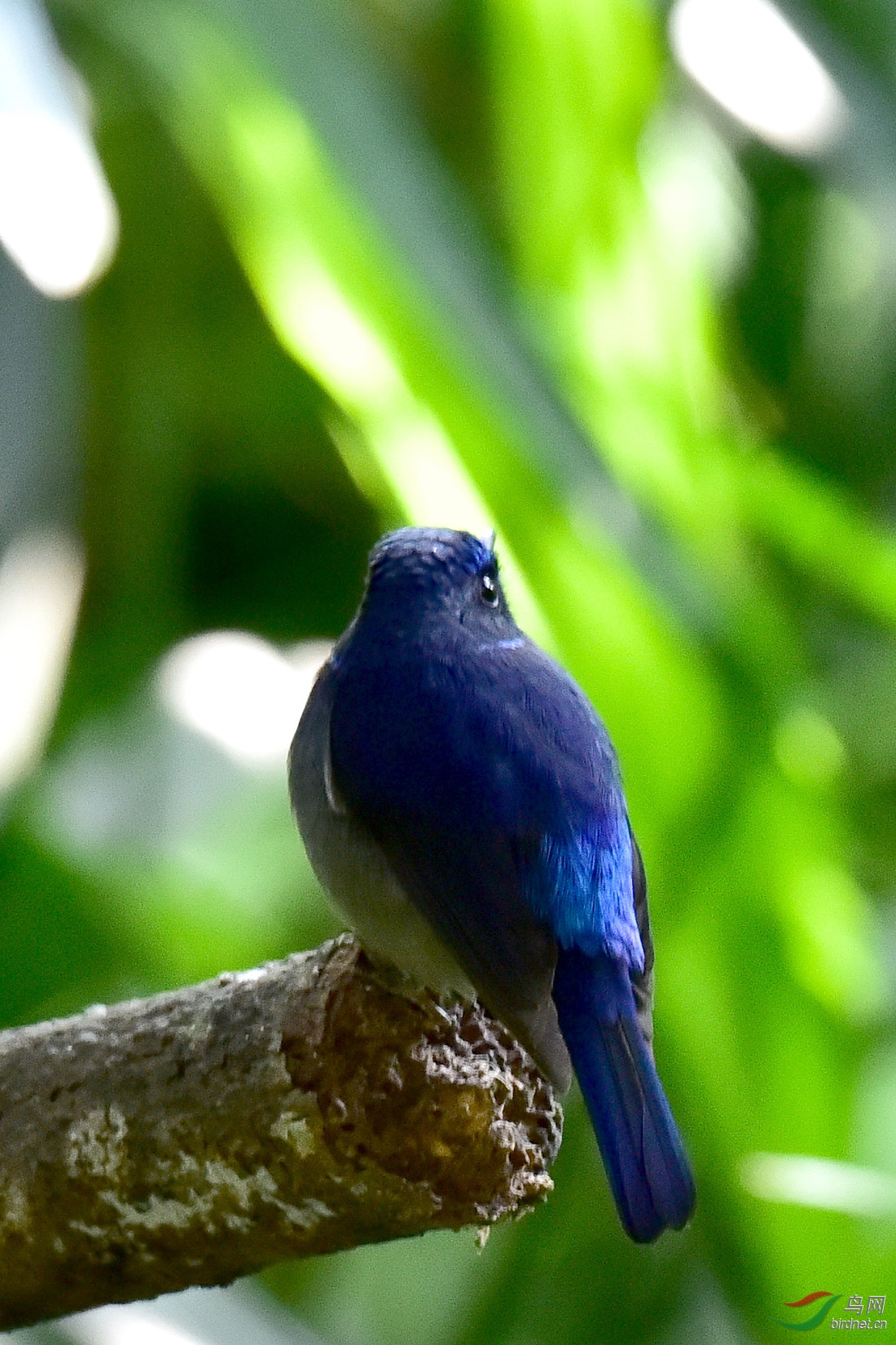 DSC_0547.JPG