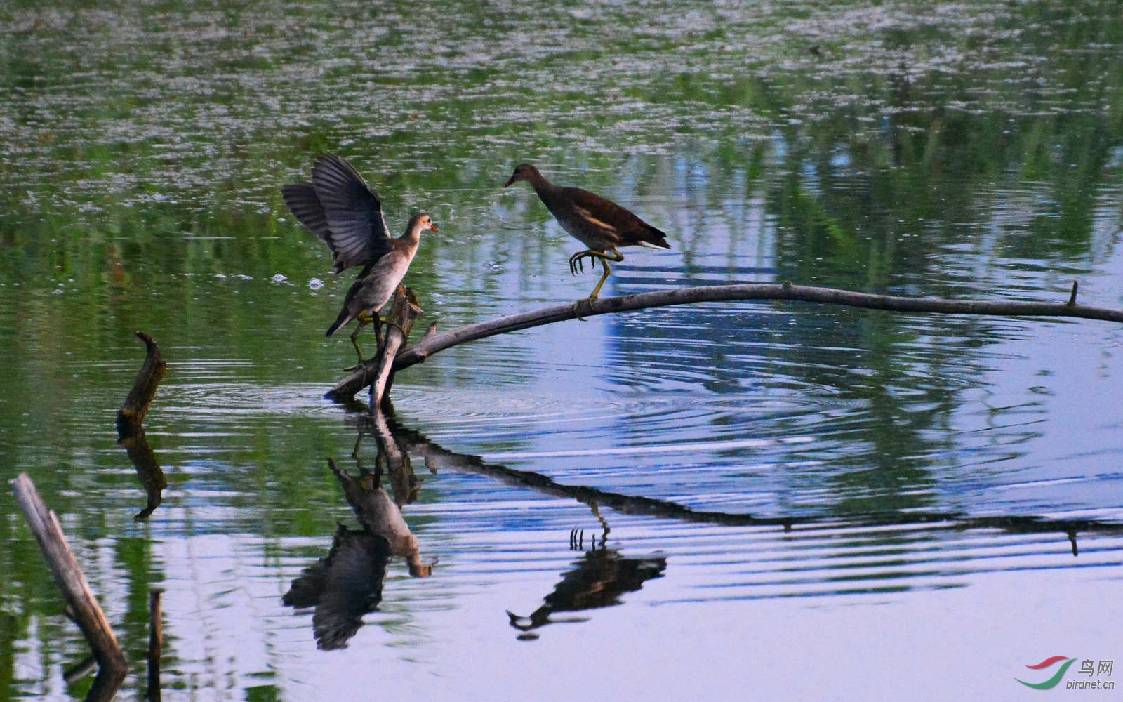 DSC_3908.JPG