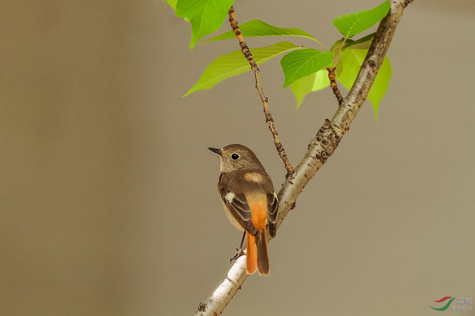 D5S_4674_18750a.jpg