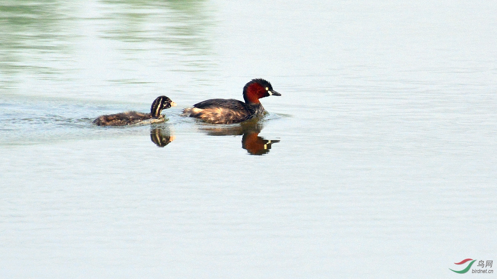 DSC_3097.JPG