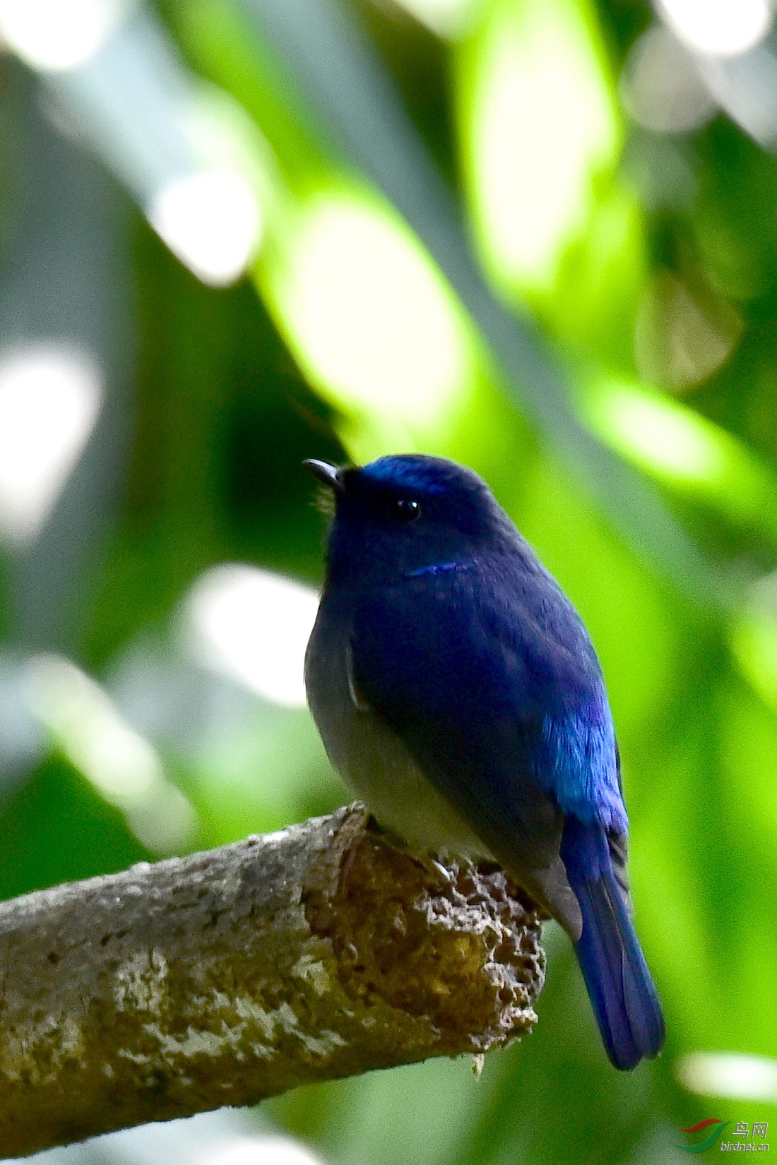 DSC_0548.JPG