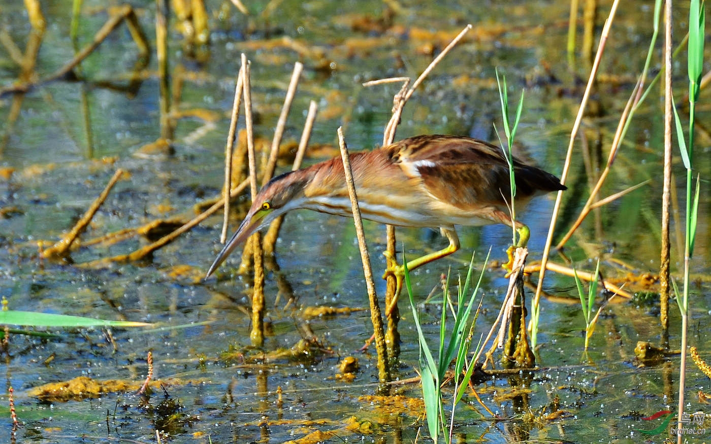 DSC_5130.JPG