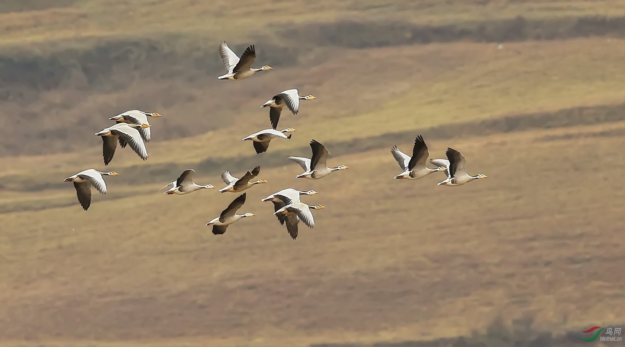 1q���� (2).jpg