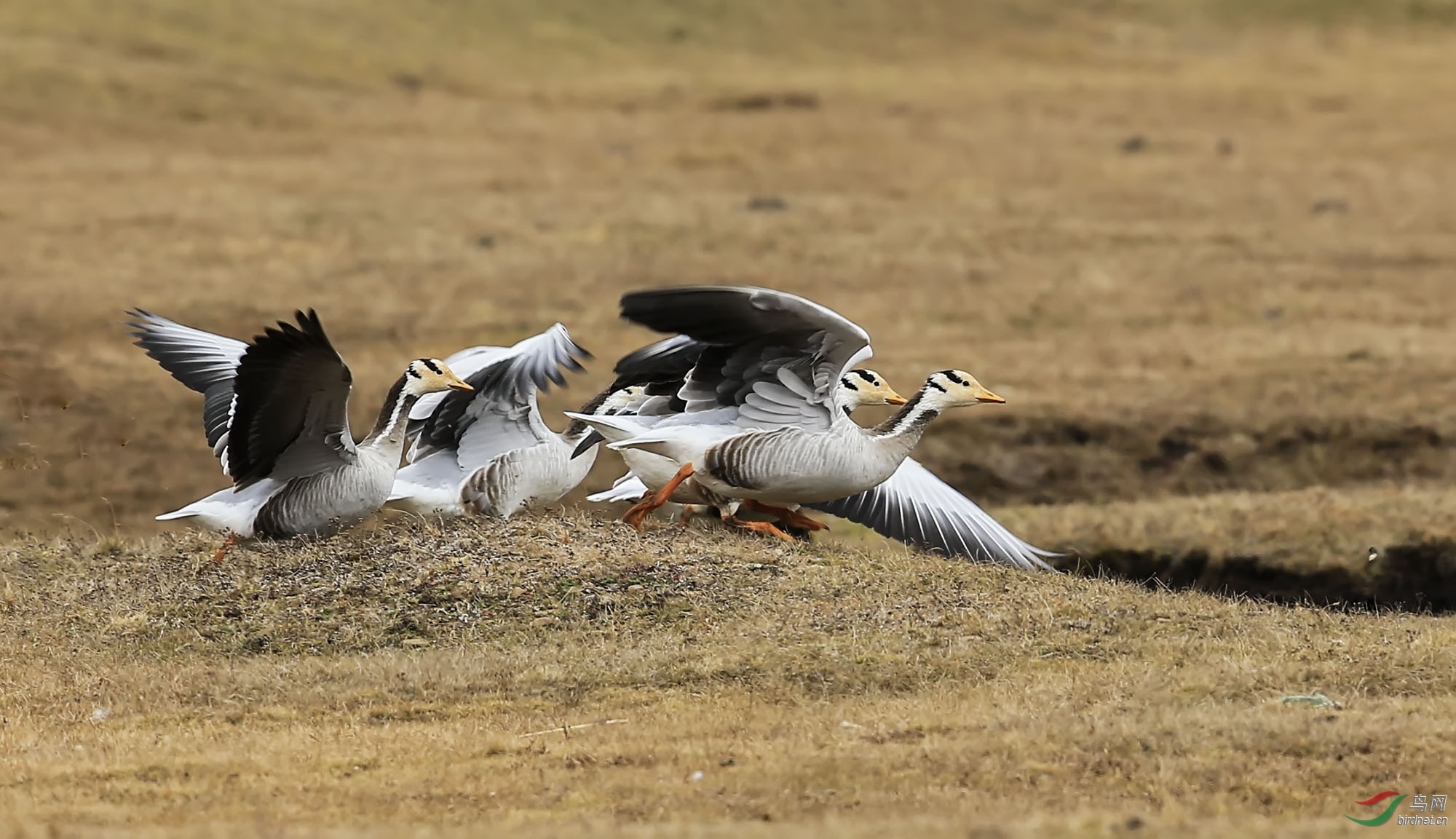 1q���� (4).jpg