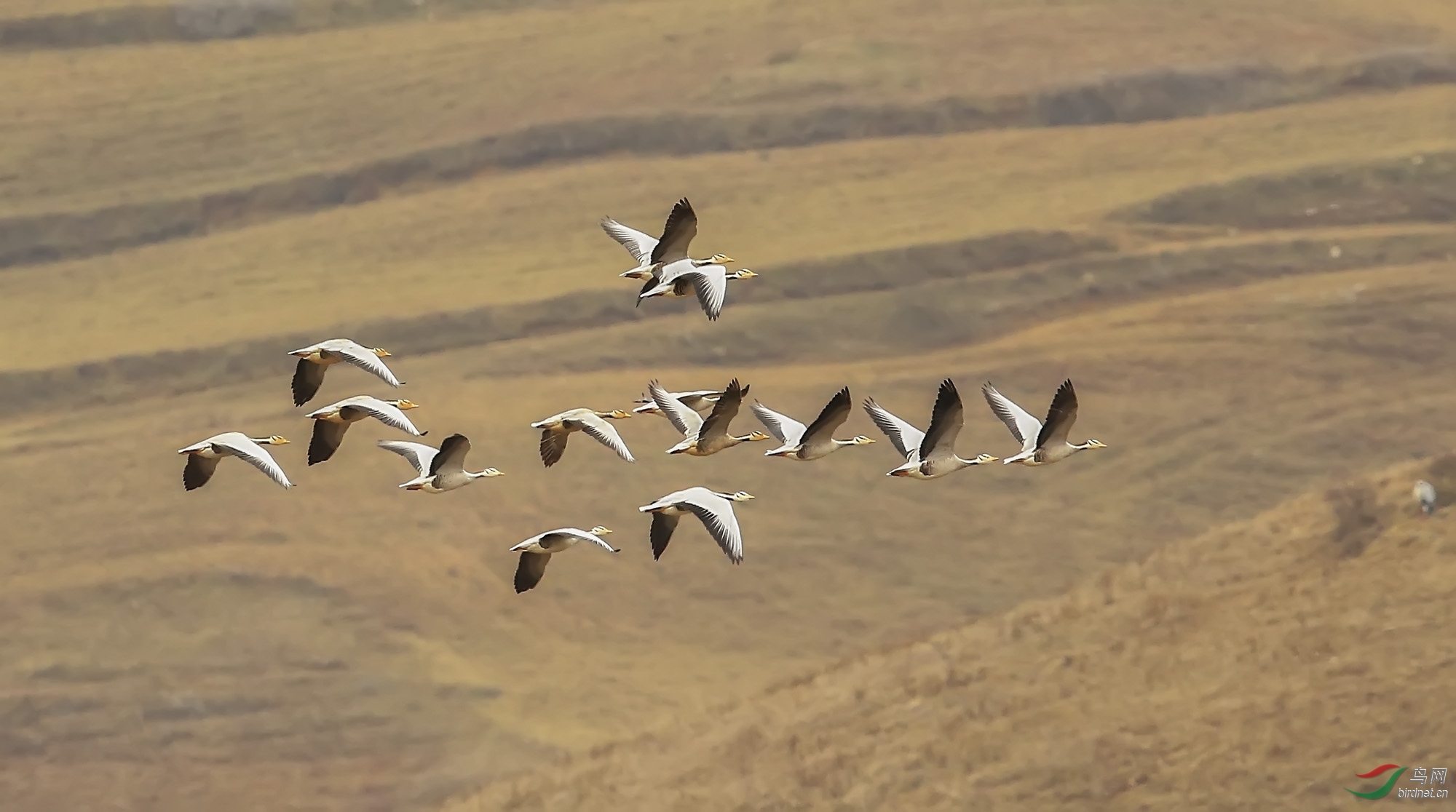 1q���� (3).jpg