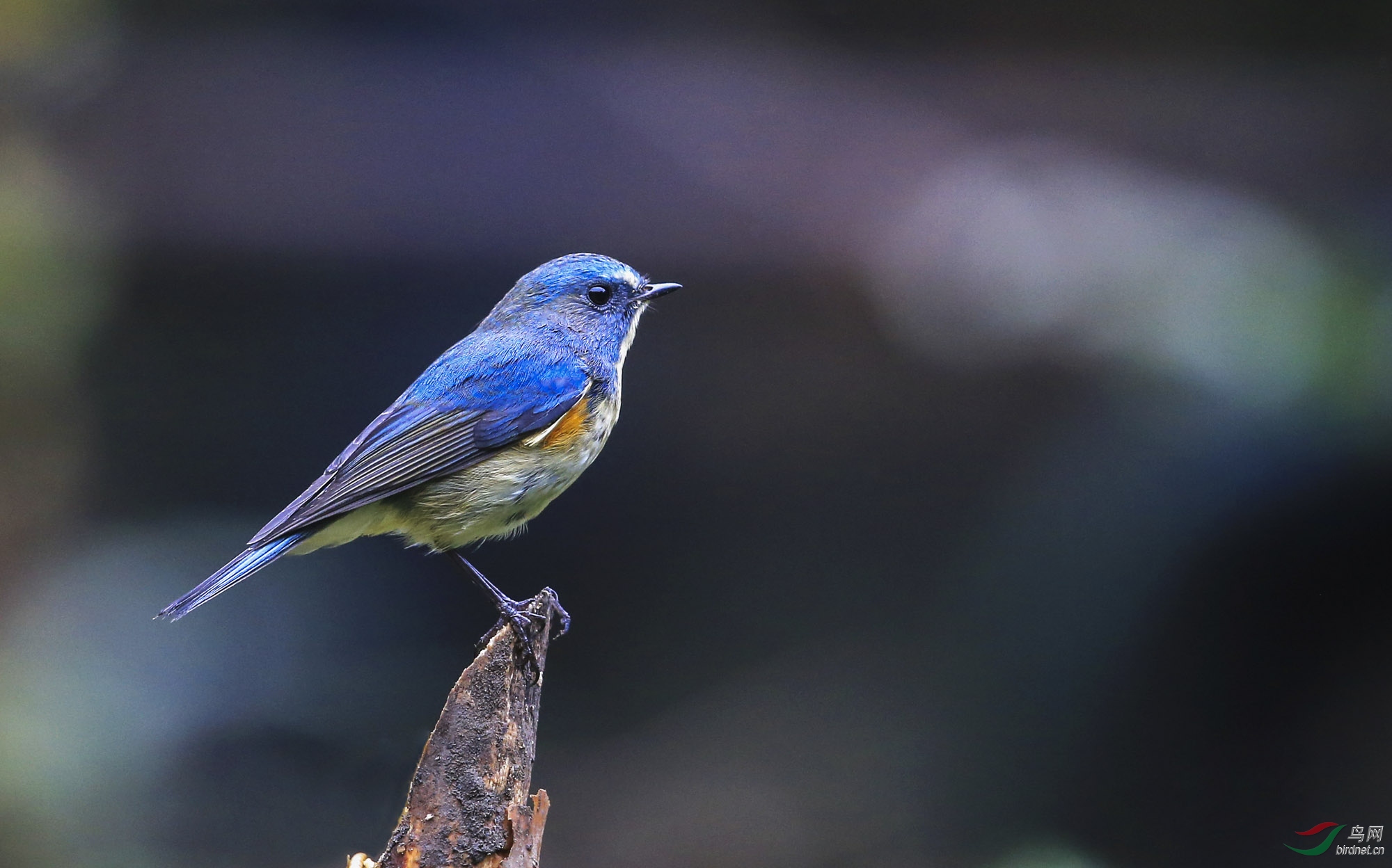 �� в��β�(10).jpg