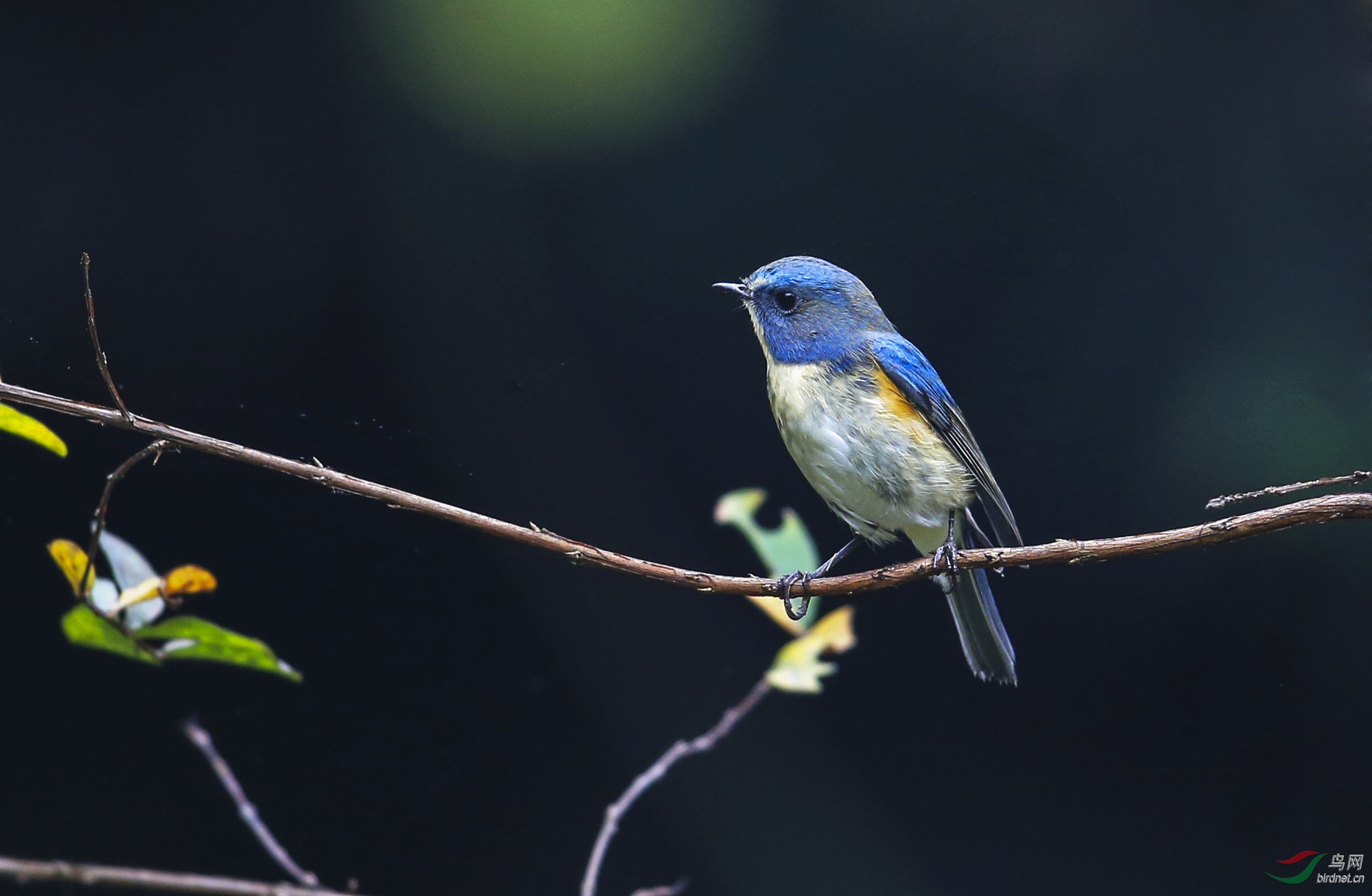 �� в��β�(9).jpg