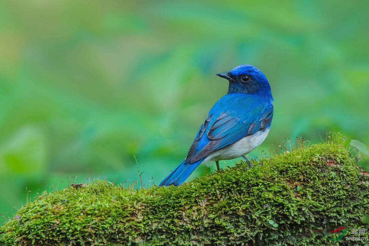 DSC_2741.jpg