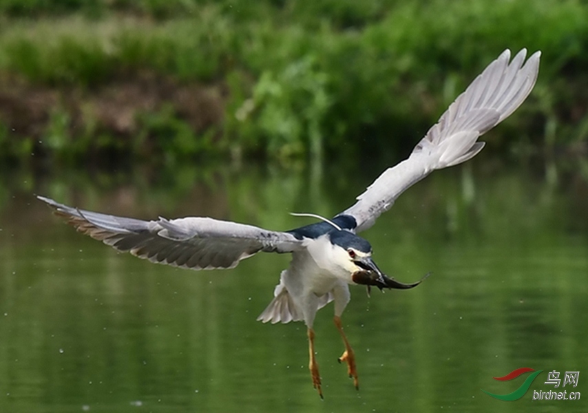 DSC_6436_����.jpg