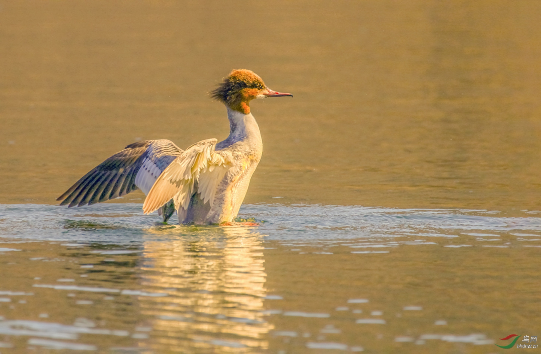 3S5A6570  01 _����.jpg