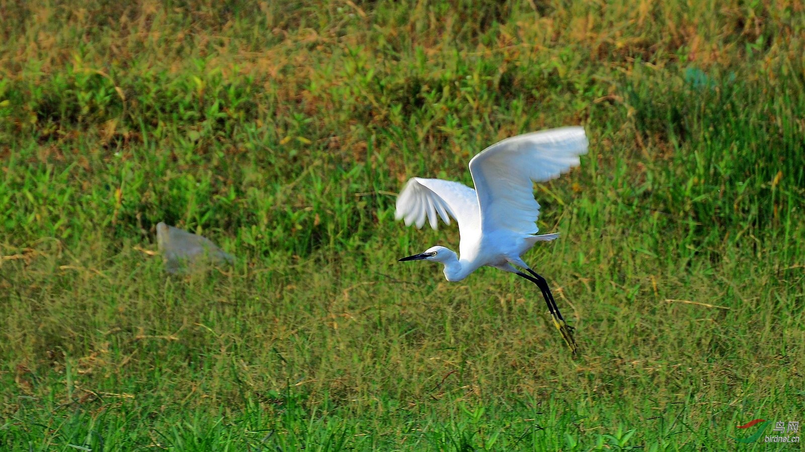 DSC_7099.JPG