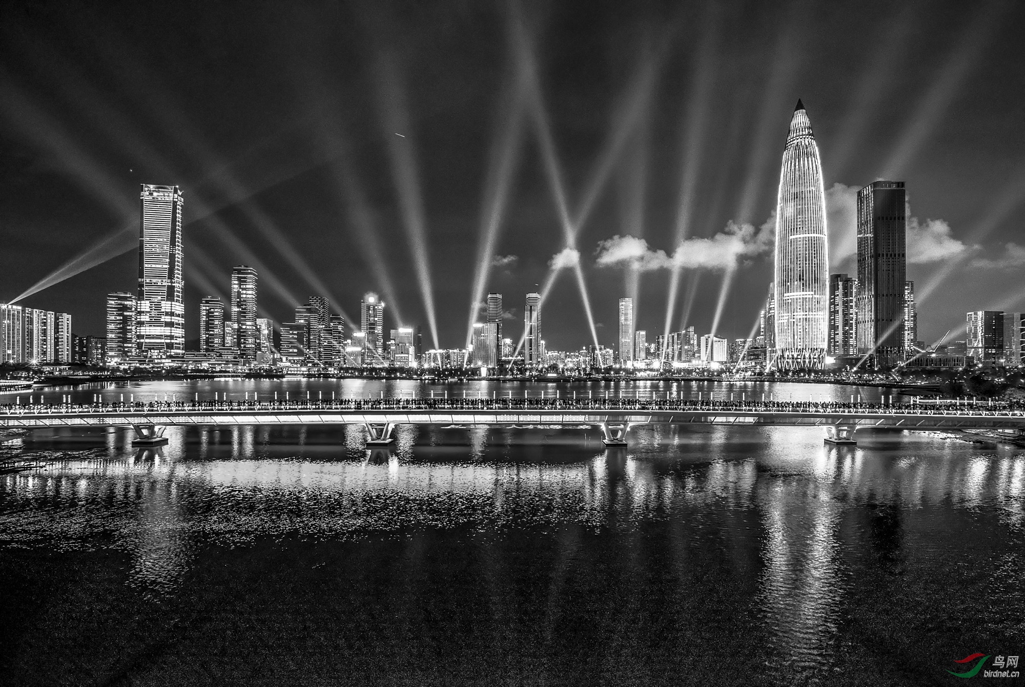 美丽灯光秀 - 黑白影像鸟网