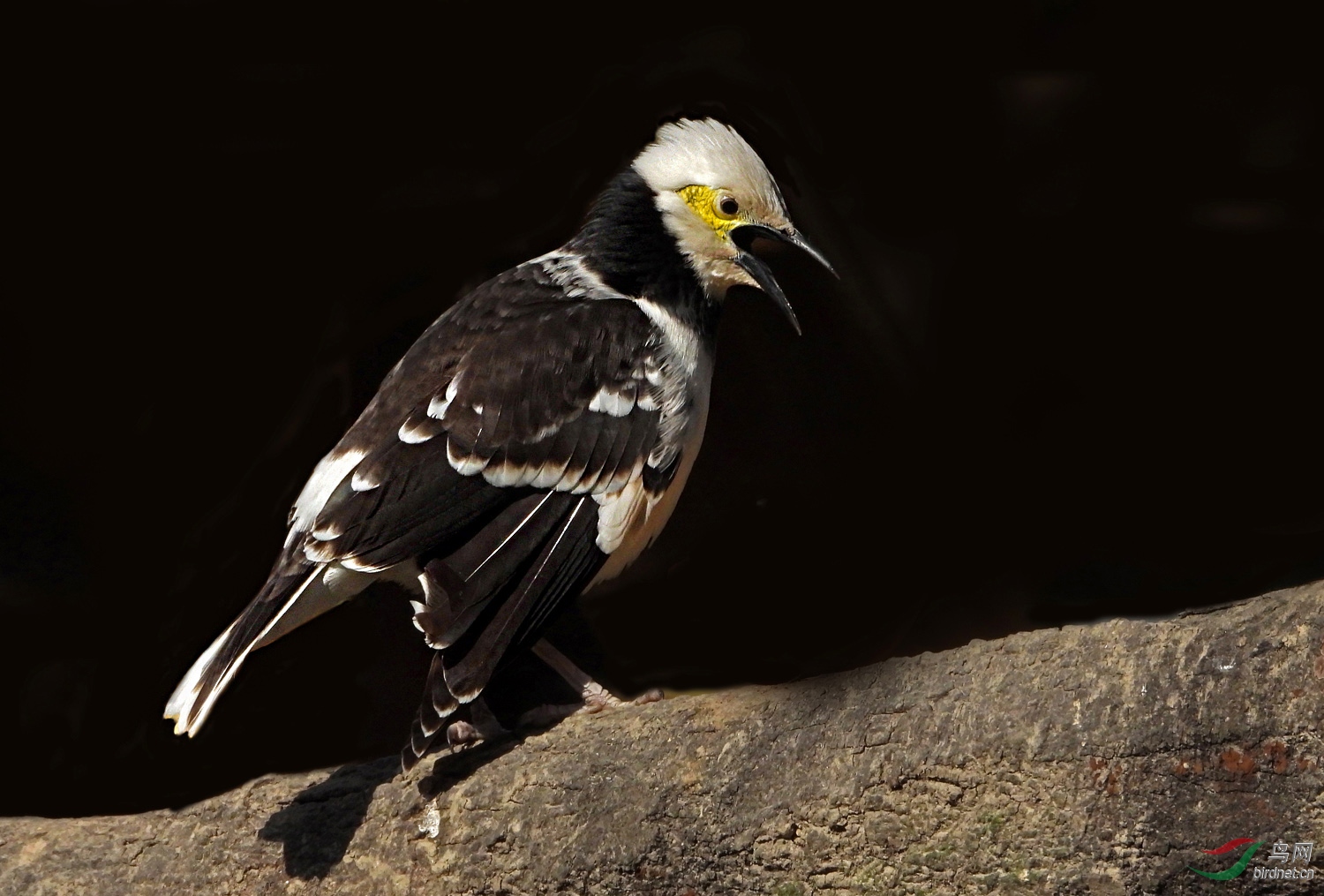 DSCN9450 ����.jpg