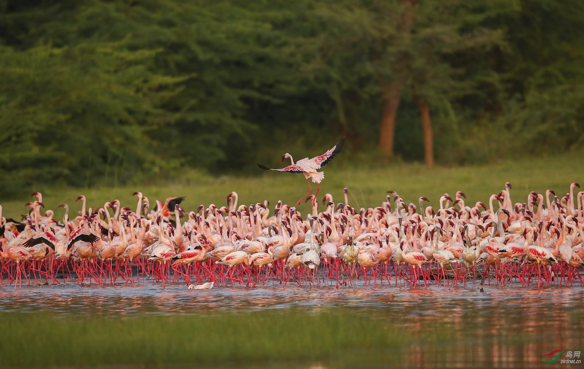 175261698345243739- (18).jpg