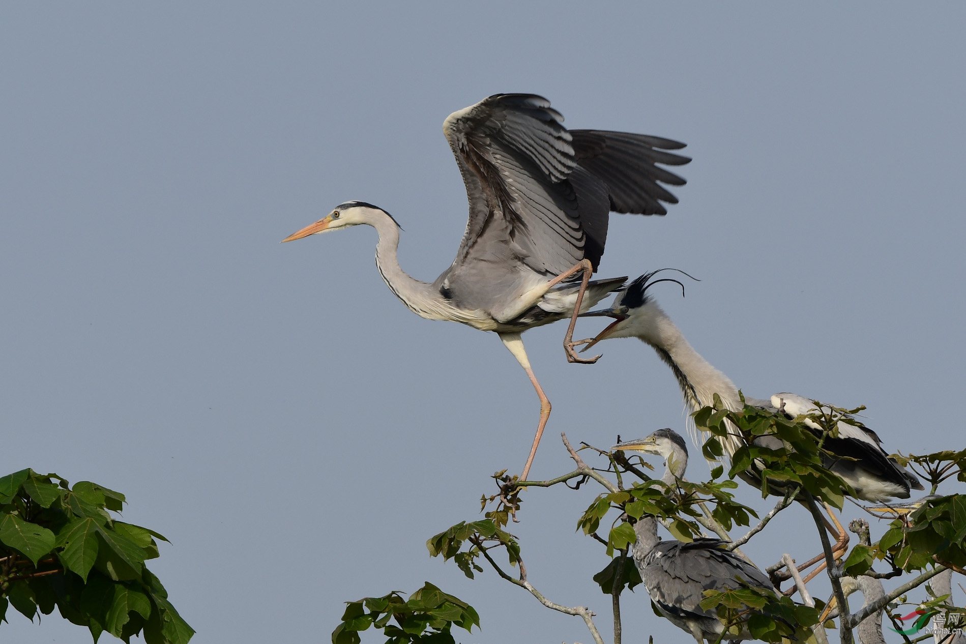 D50_3028.jpg
