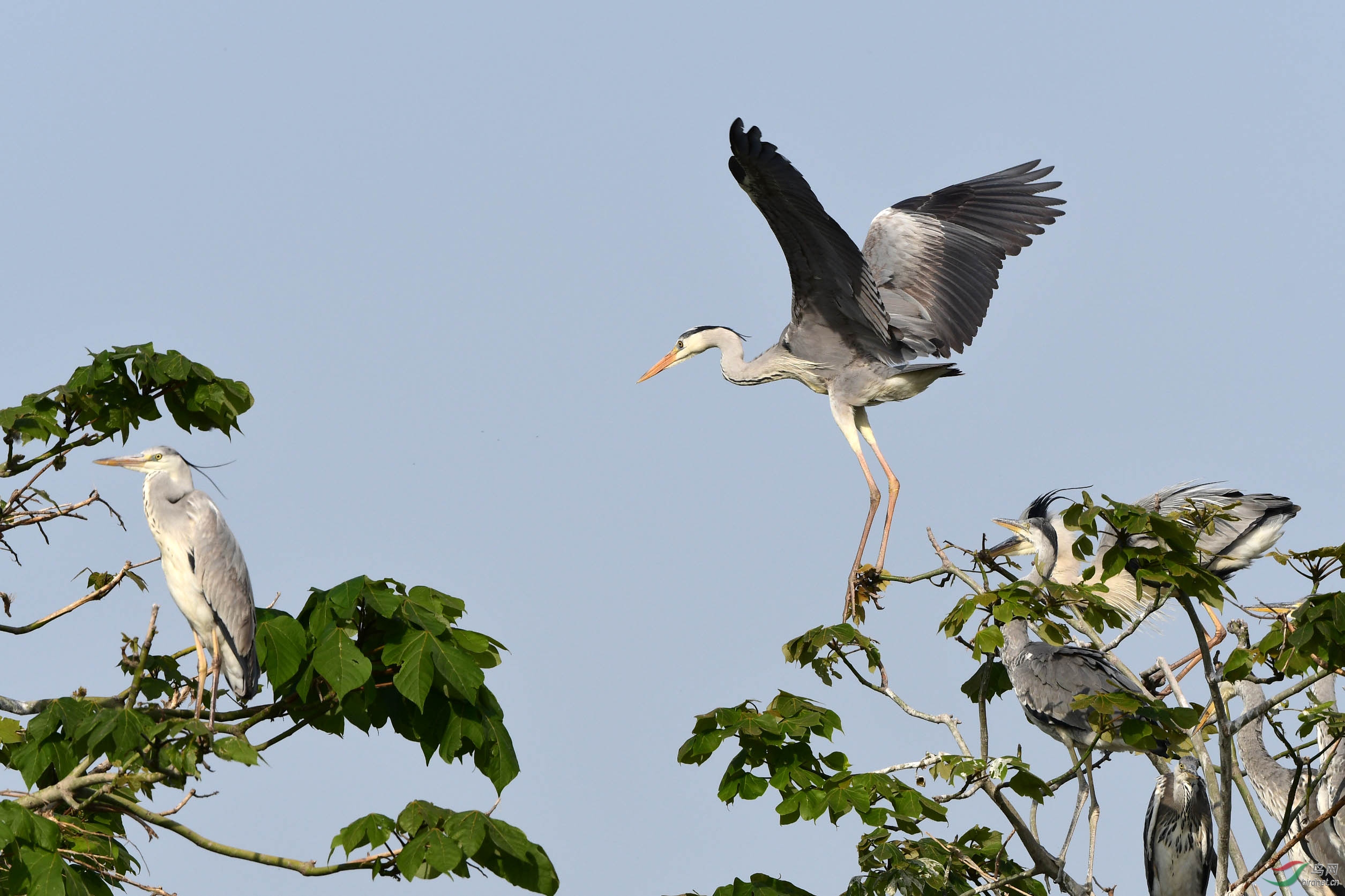 D50_3031.jpg