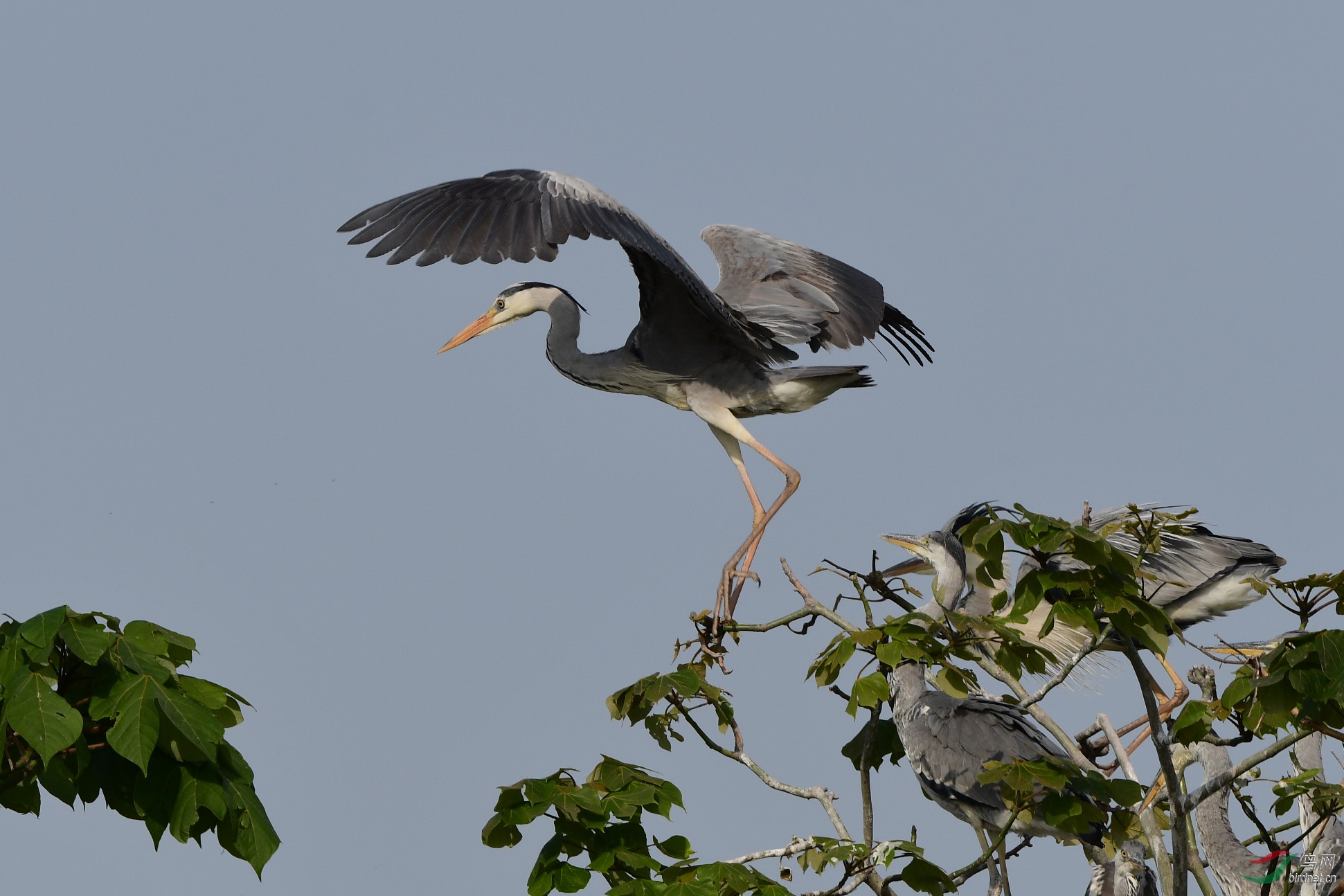 D50_3032.jpg