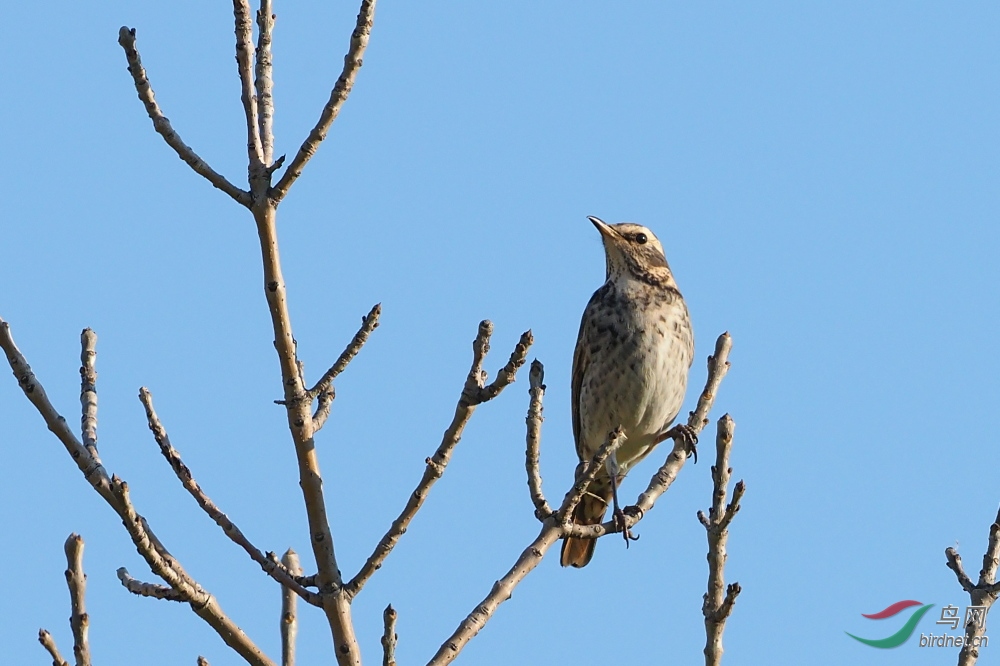 PA300340.jpg