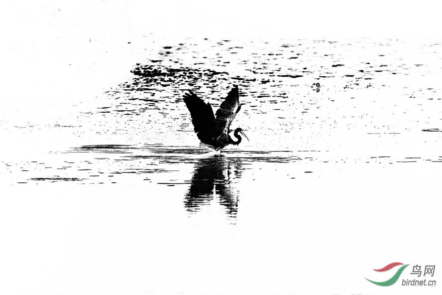 BW6I5559_����_����1_����1_����.jpg