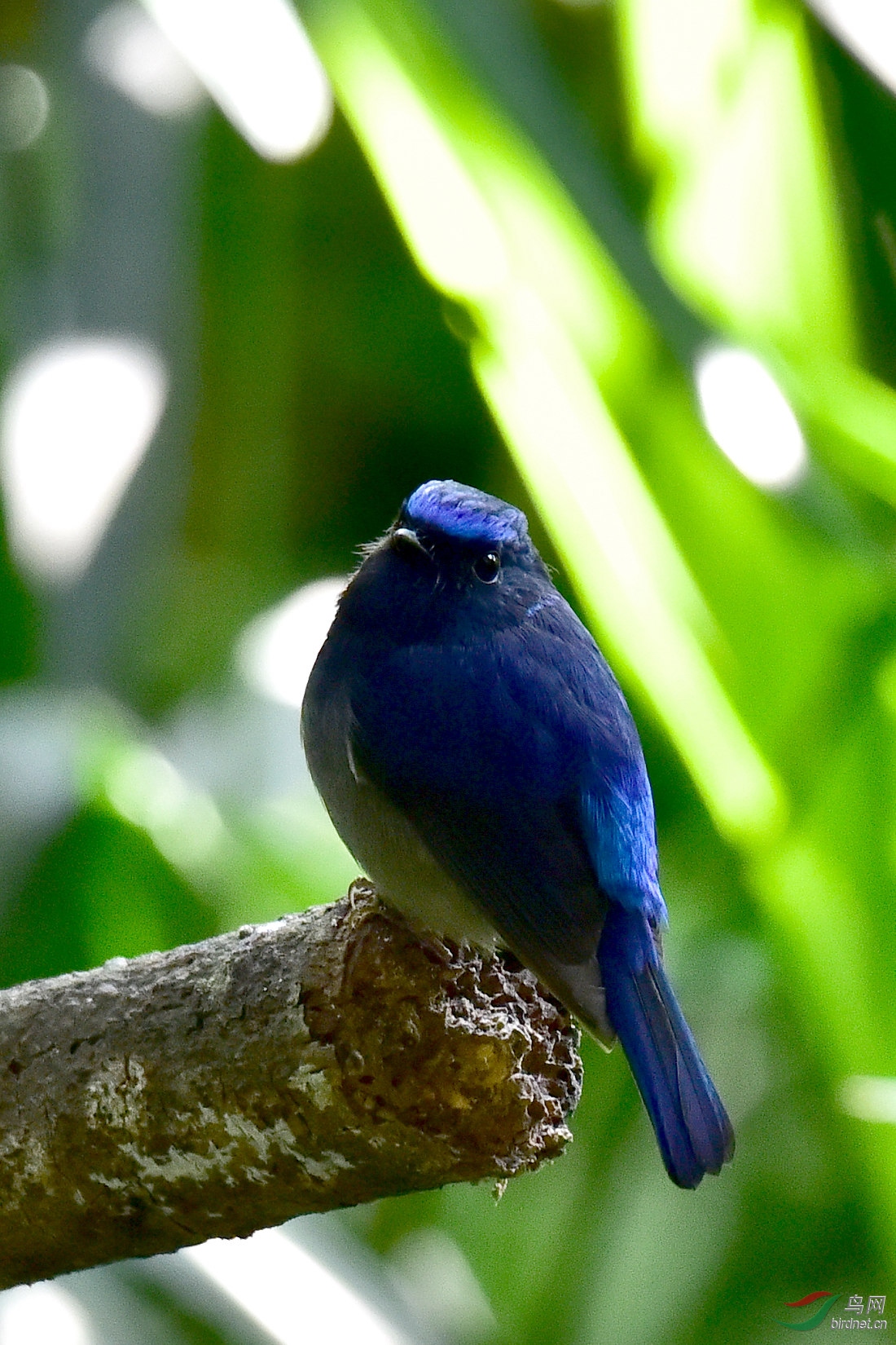 DSC_0550.JPG