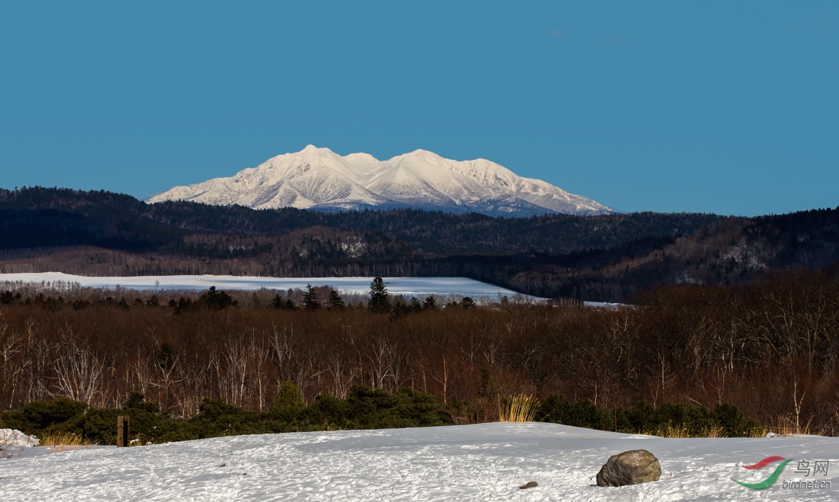 北海道大雪山贺荣获首页综合精华