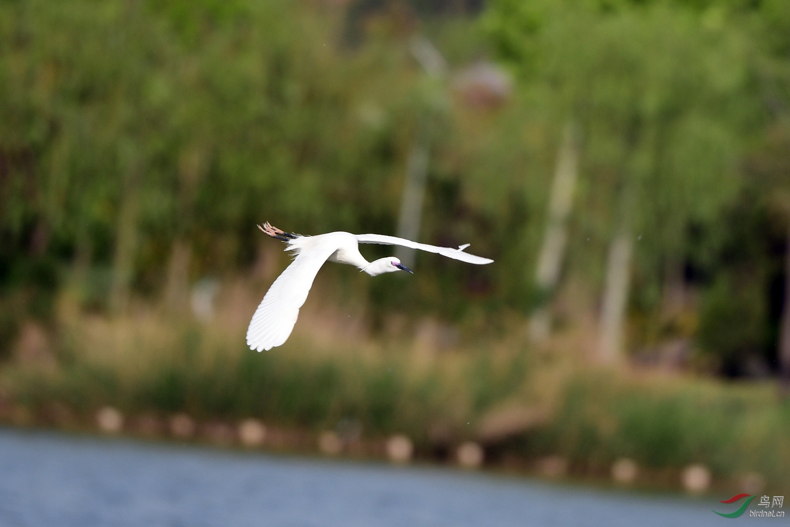 D50_3043.jpg