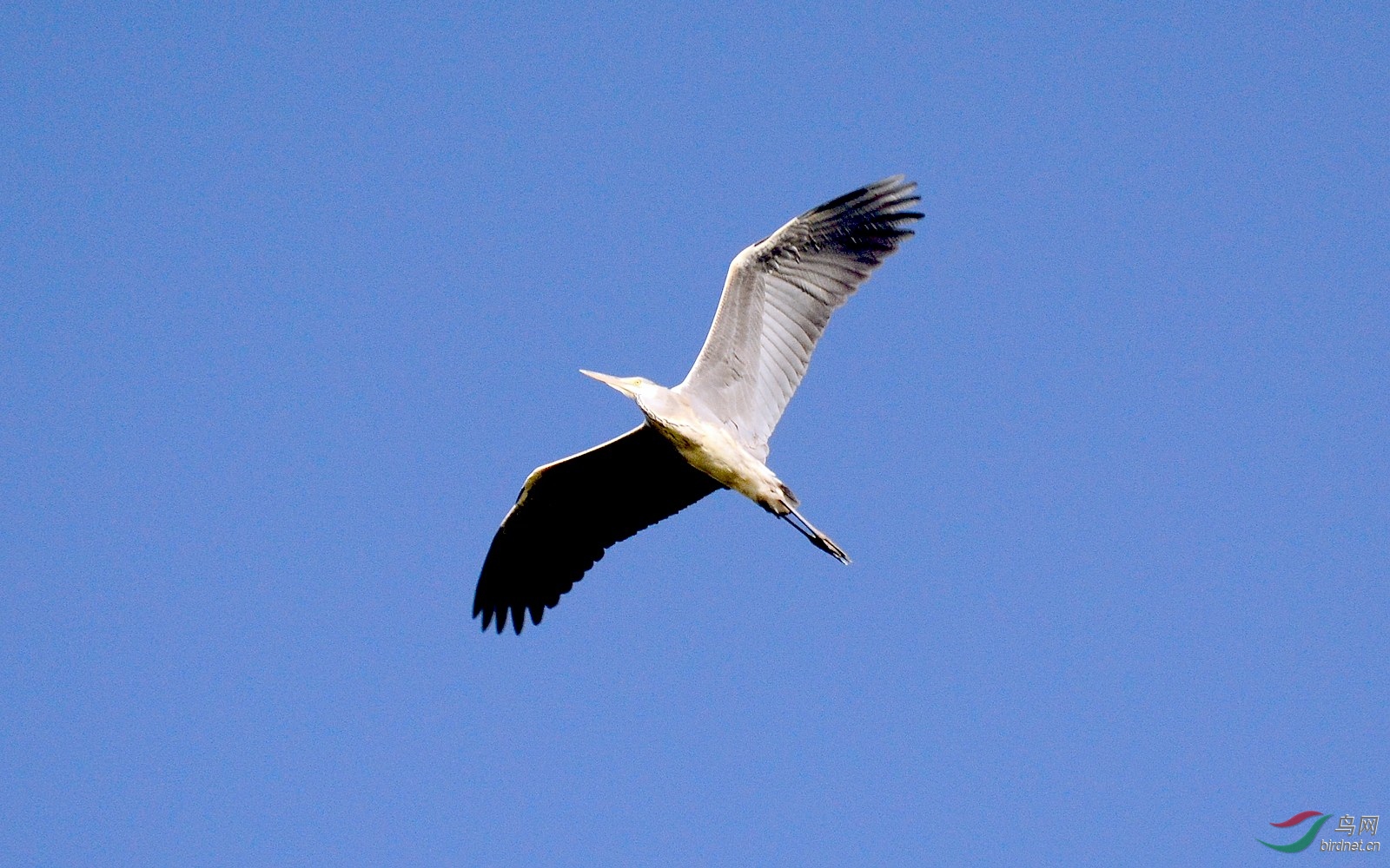 DSC_6484.JPG