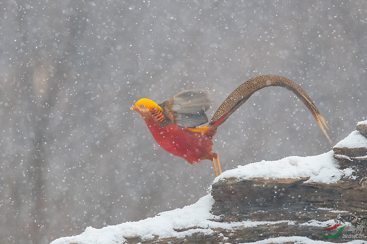 _L5I0844.jpg