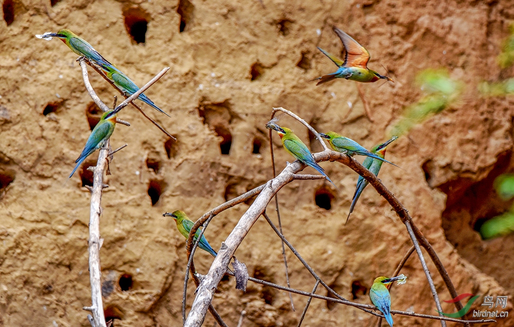 ���-��Ŀ��һ�¡��绰 15287536293.jpg