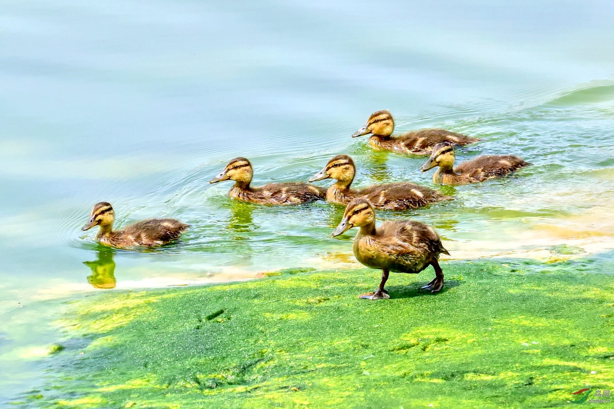 DSC_9785_conew4.jpg