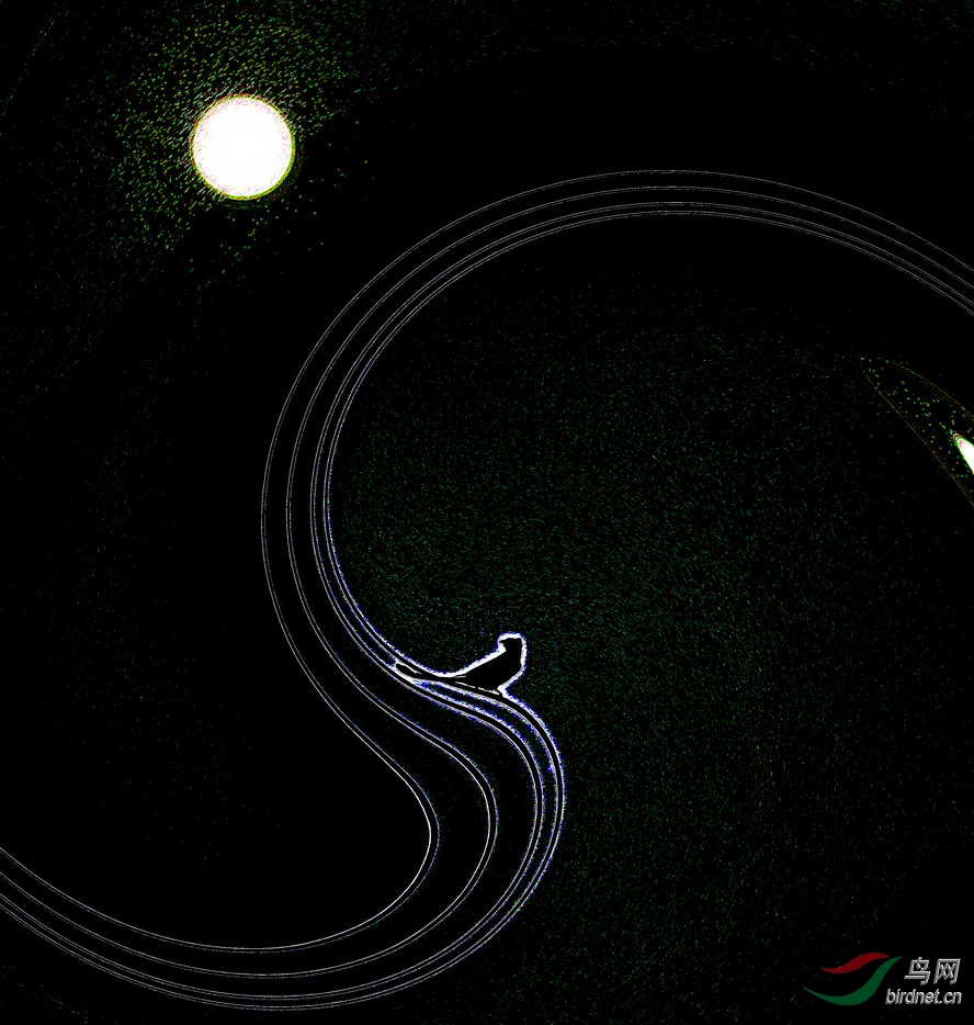 BW6I1428_����_����2_����1_����1_����.jpg