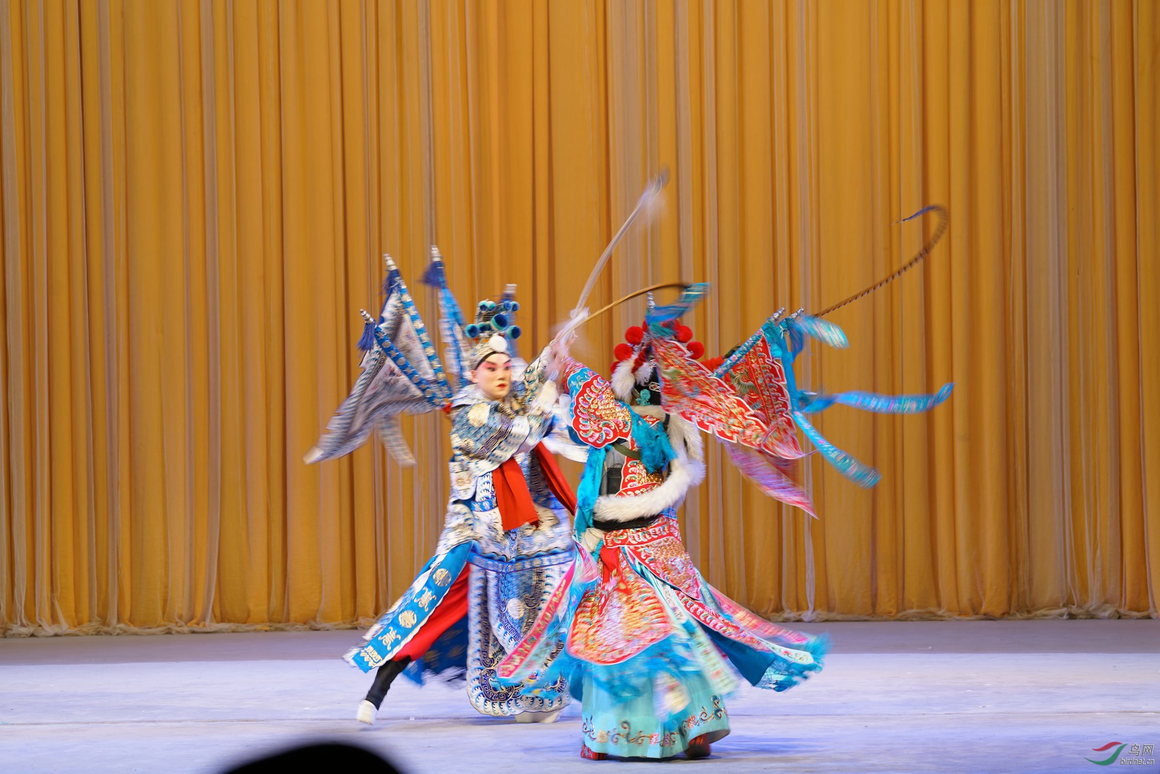 DSC08574_����.jpg