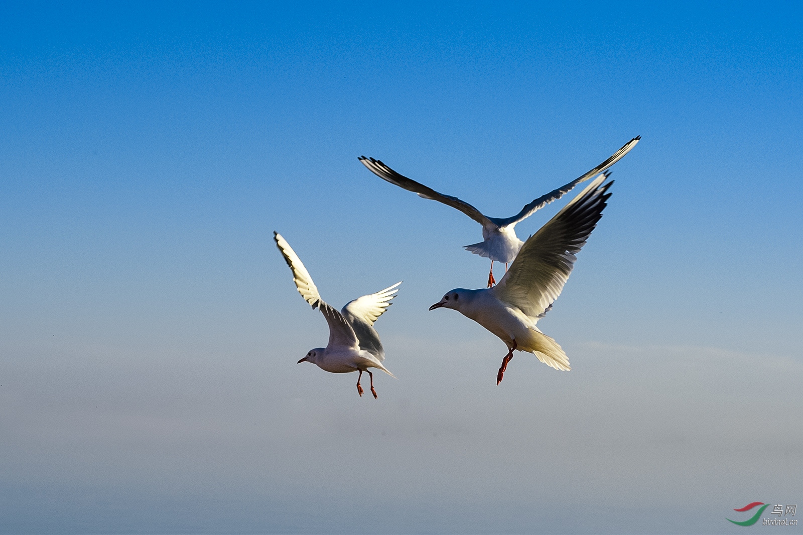 _DSC6428_3004a.jpg