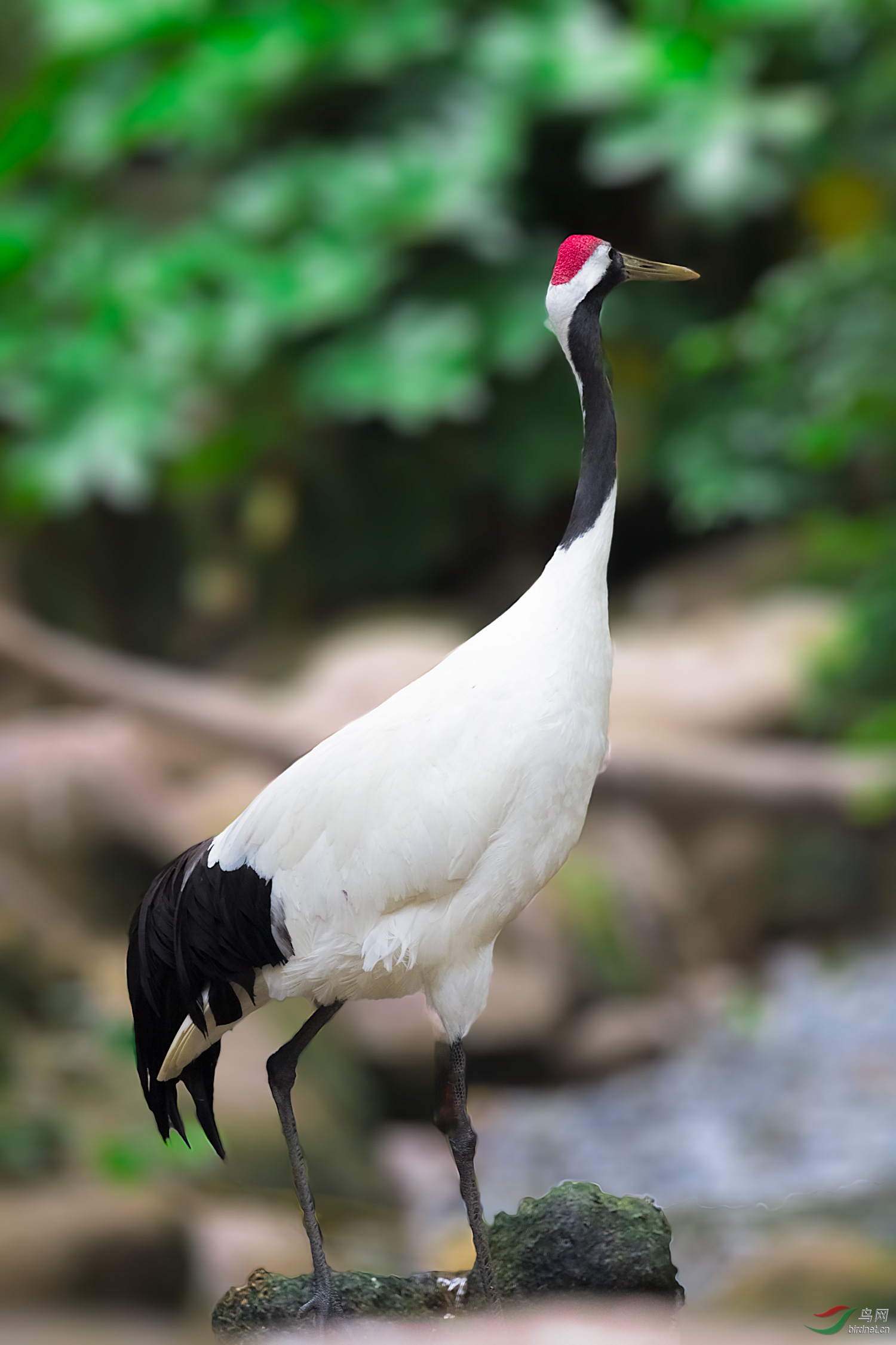 _DSC6725-2.jpg