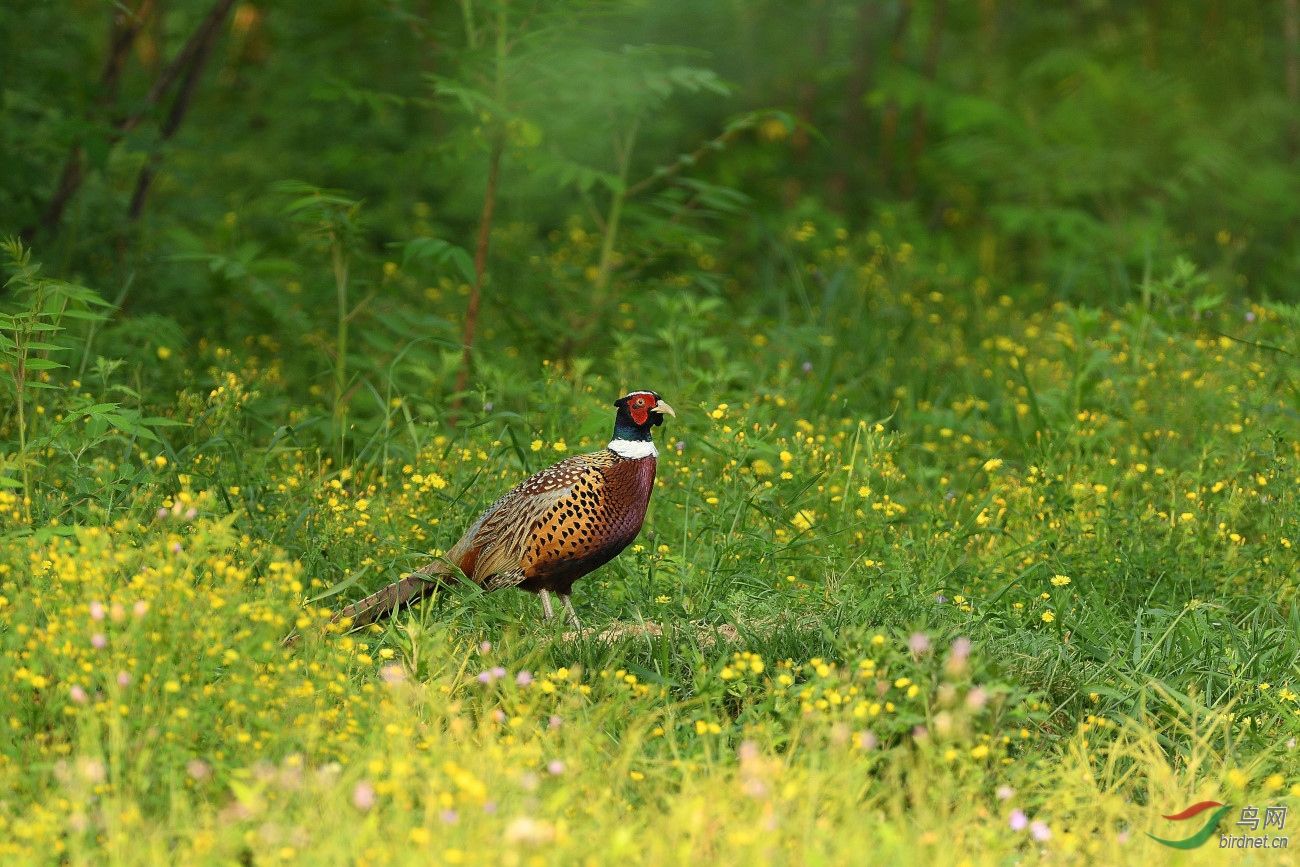 DSC_9045_00094.JPG