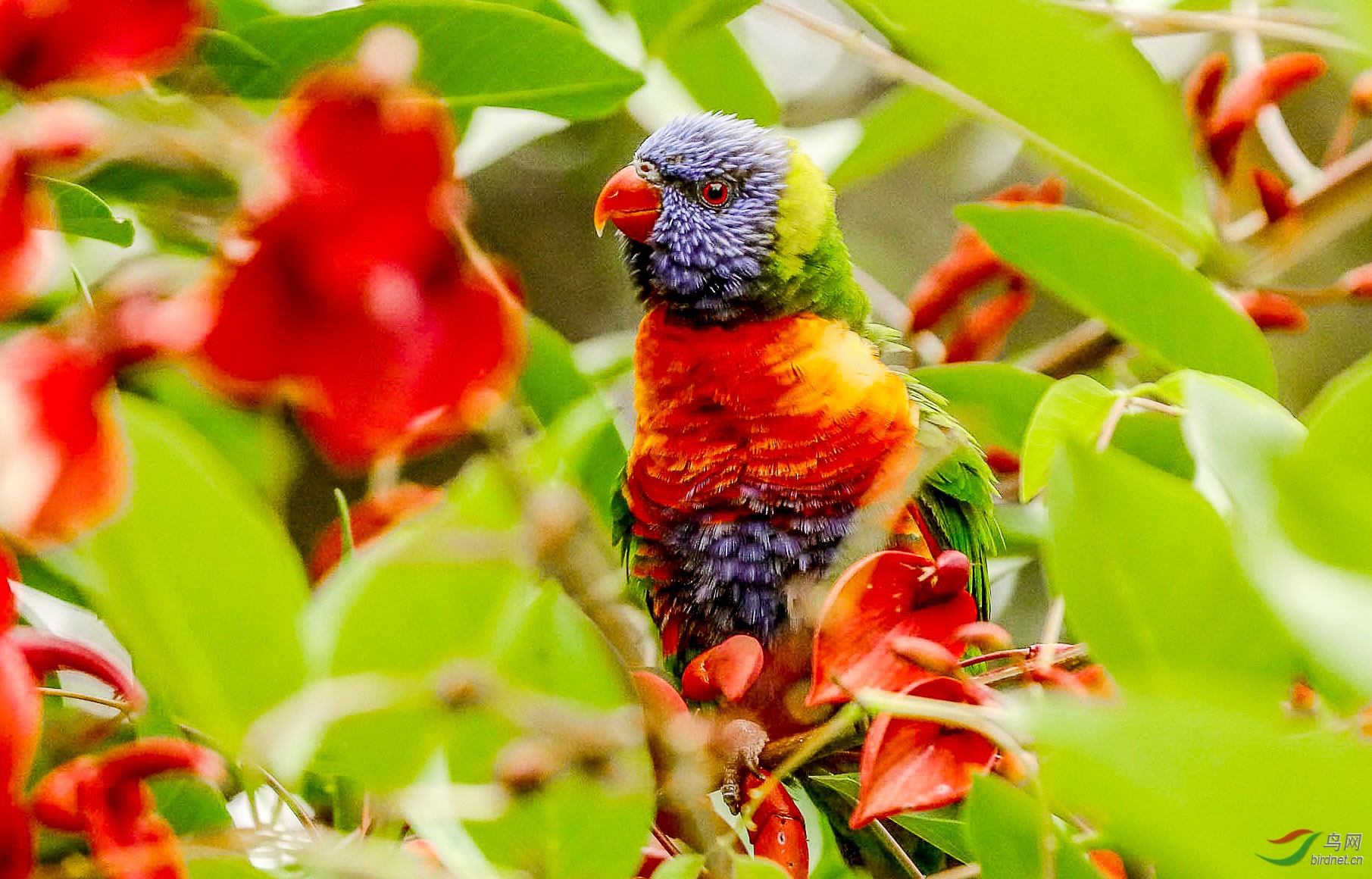 Picture 26307584a.jpg