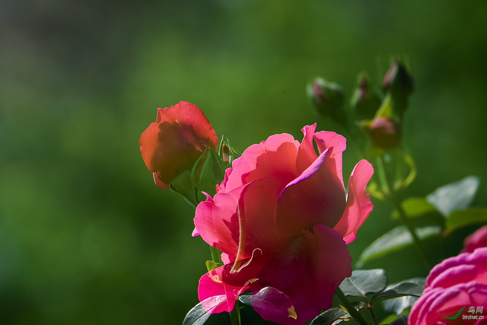 _D5S6849_3052a.jpg