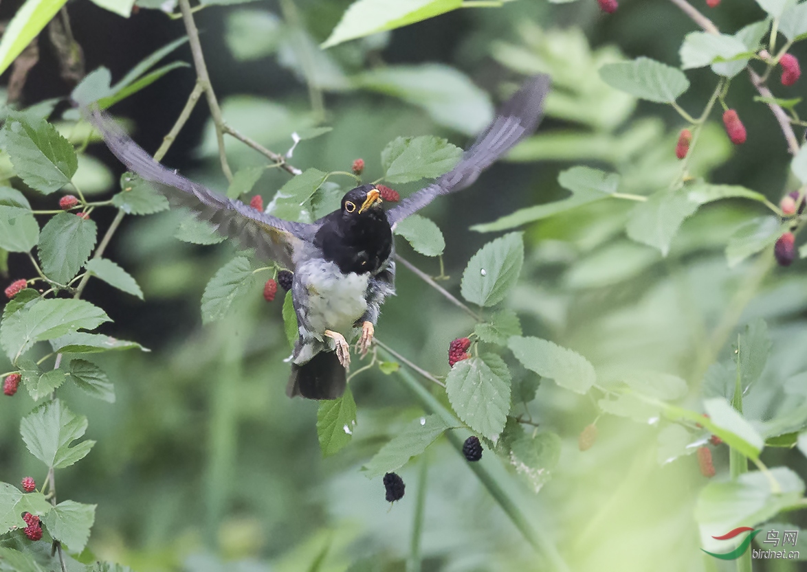 6J0A522413.jpg