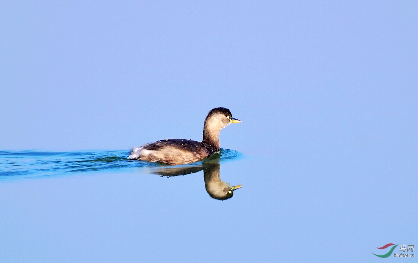 DSC_1377.JPG
