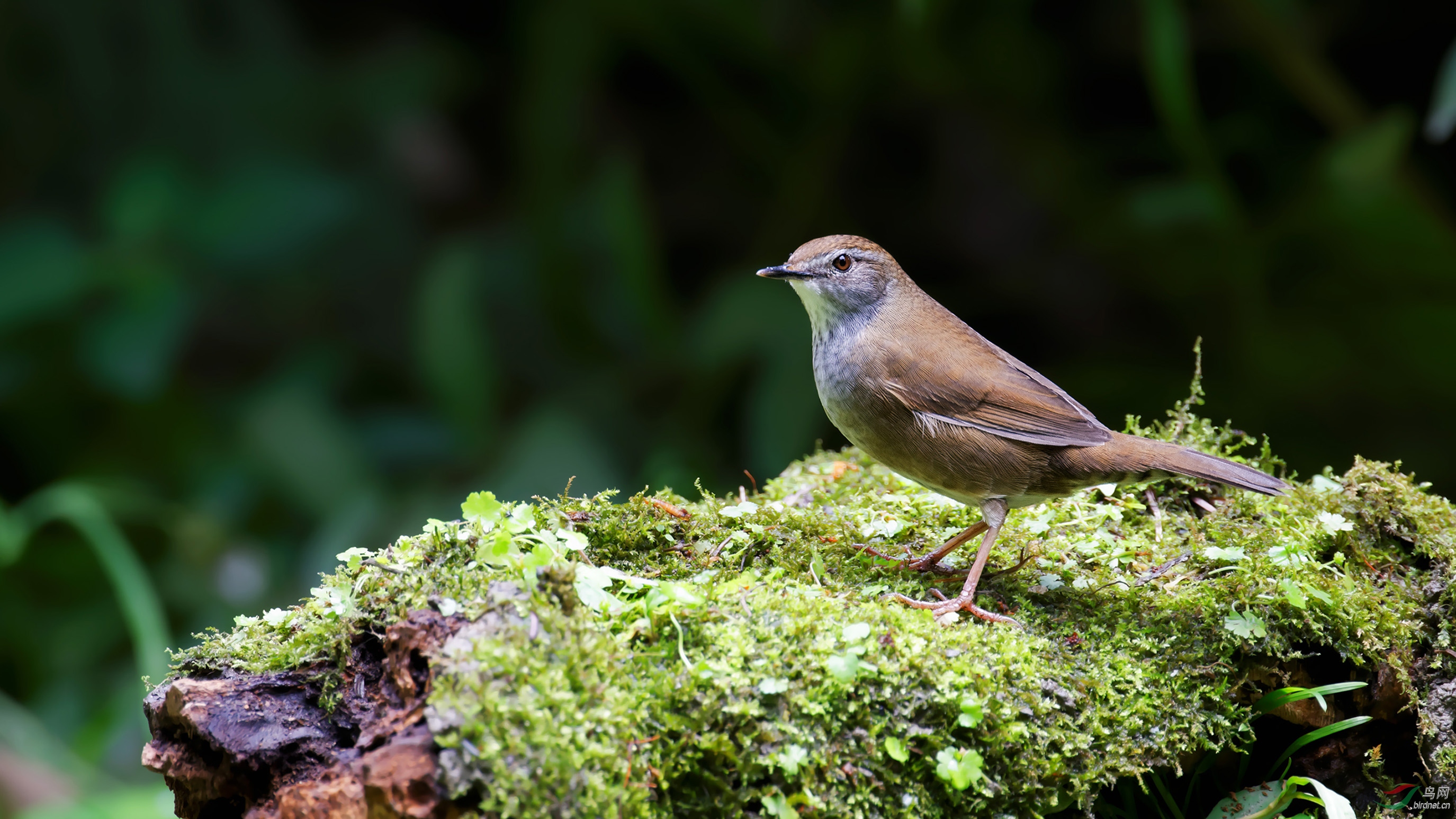 DSC_0093_DxO.jpg