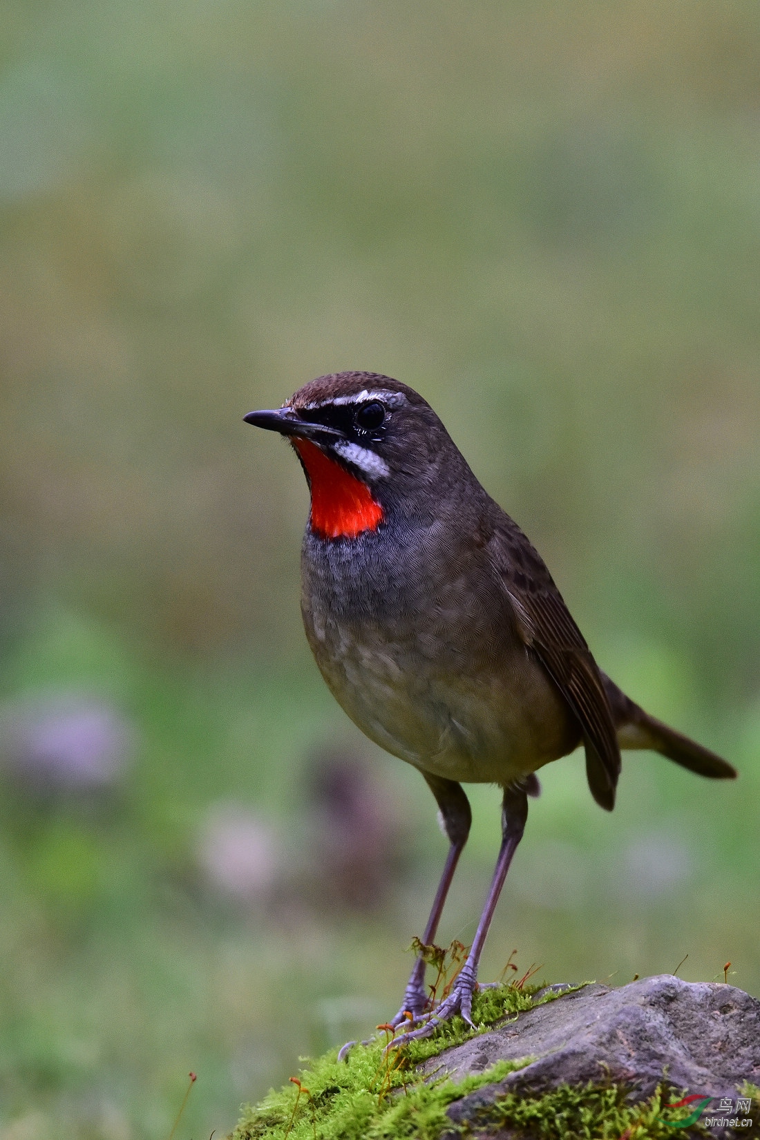 DSC_0563.JPG